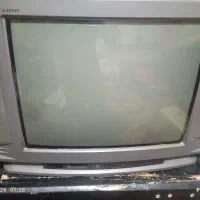 تلویزیون