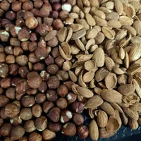 قوتو اصل کرمان|خوردنی و آشامیدنی|مشهد, کوشش|دیوار