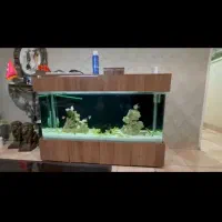 آکواریوم تمیز و سالم