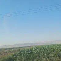 ۱۴هکتاریکپارچه آبی سندتکبرگ میاندربند|فروش دفتر صنعتی، کشاورزی، تجاری|کرمانشاه, |دیوار