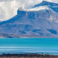 دامداری رهن و اجاره