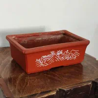 تعدادی گلدان اصلی بونسای،بن سای،بن سای|گل و گیاه طبیعی|کرج, شهرک امام رضا (ع)|دیوار