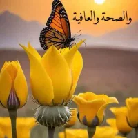 درخواست فروشنده با سابقه دارم