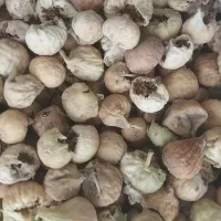 انجیر گوشتی تازه کیلویی ۴۸۰|خوردنی و آشامیدنی|شیراز, شهرک ولیعصر|دیوار