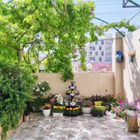 اجاره روزانه آپارتمان در شهریار با تراس زیبا