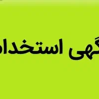 نیروی مونتاژ تولید (اقا)