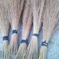 جارو پیشی|لوازم نظافت|زاغه, |دیوار