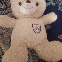خرس خوشگل
