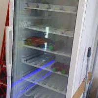 فریزر ایستاده Tifo در حد نو آماده کار حرفه‌ای|فروشگاه و مغازه|تربت‌حیدریه, پارک کاشانی|دیوار