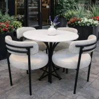 صندلی غذاخوری پایه فلز و پلاستیکی سیترا/گلشهر کرج