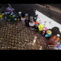 بیش از۱۰۰عددباسایزاندازه وجنس گوناگون.|ظروف نگهدارنده، پلاستیکی، یکبارمصرف|میانه, |دیوار