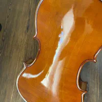 ویولاViola|ویولن|شیراز, باغ تخت|دیوار