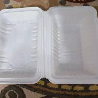 ظرف یکبارمصرف گیاهی