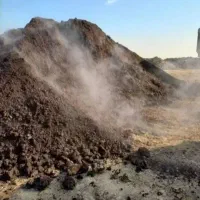 فروش کود گاوی ،گوسفندی