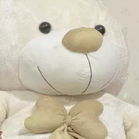 خرس دو متری