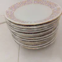 بشقاب میوه خوری مناسب باغ