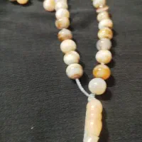 تصبیح شجره