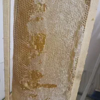 عسل ناب طبیعی