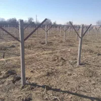 پایه بتنی 98تمن باضمانت نامه همراه بار|عمدهفروشی|تربتحیدریه, رضاشهر|دیوار