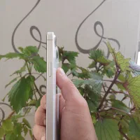 موبایل اپل ۱۳ نرمال کارتن اصلی|موبایل|مهریز, |دیوار