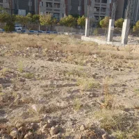 زمین فروشی مهاجران