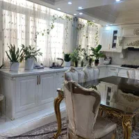 ۱۶۵مترامیرآباد شمالی،نرسیده به فاطمی