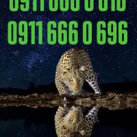 ۹۱۹۷۷۱۷۱۷۷|سیم‌کارت|اصفهان, سعادت‌آباد|دیوار