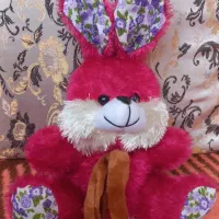 عروسک های پولیشی|اسباب‌‌بازی|رباط‌کریم, رباط‌کریم|دیوار