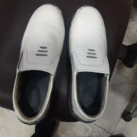 کفش ایمنی|کیف، کفش، کمربند|تهران, جوادیه|دیوار