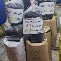 چایی بهاره لاهیجان سال۱۴۰۴ (امساله)|عمده‌فروشی|رشت, جهاد|دیوار