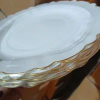 سرویس ارکوپال  لب طلایی