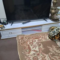 زیر تلویزیونی