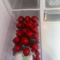 فروش کلی و جزئی لوازم دستبند و گردنبند و بدلیجات|بدلیجات|بیرجند, |دیوار