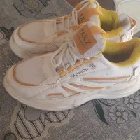 کفش کتانی|کیف، کفش، کمربند|کشکسرای, |دیوار