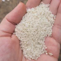 برنج هاشمی و نیم دانه هاشمی