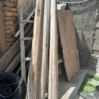 خریداردرخت همه رقم