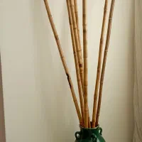 تابلو و عتیقه|کلکسیون اشیاء عتیقه|زنجان, |دیوار