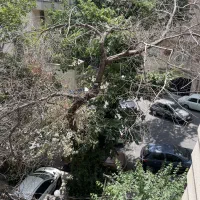 50مترظفرعمرانی