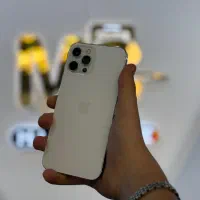 12promax نقداقساط چکی وحقوق بگیران تامین اجتماعی