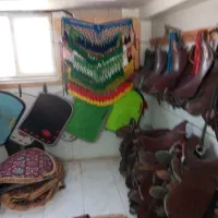 زین اسب|اسب و تجهیزات اسب‌سواری|تهران, وردآورد|دیوار