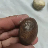 سه عدد سنگ زینتی|کلکسیون اشیاء عتیقه|اراک, |دیوار