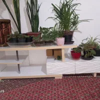 مایل به معاوضه نیستم