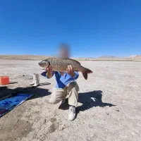 تور