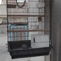 قفس بزرگ  سالم تمیز