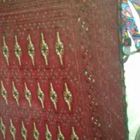 پشتی دستبافت جلگلان|پشتی|شیروان (خراسان), |دیوار