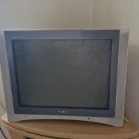 تلویزیون