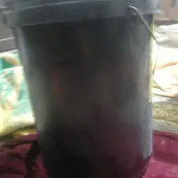 سطل|ظروف نگهدارنده، پلاستیکی، یک‌بارمصرف|خان ببین, |دیوار