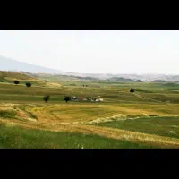 زمین دیم اجاره داده میشود