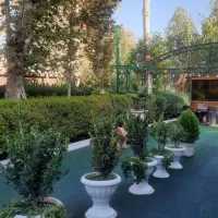 صندوقدار و آشپز ماهر