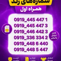 فروش اقساطی خط ۹۱۹
